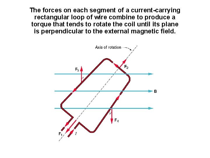 The forces on each segment of a current-carrying rectangular loop of wire combine to