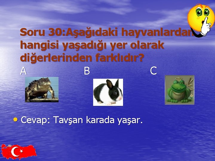 Soru 30: Aşağıdaki hayvanlardan hangisi yaşadığı yer olarak diğerlerinden farklıdır? A B C •