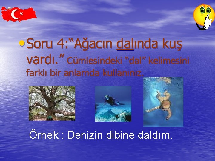  • Soru 4: “Ağacın dalında kuş vardı. ” Cümlesindeki “dal” kelimesini farklı bir