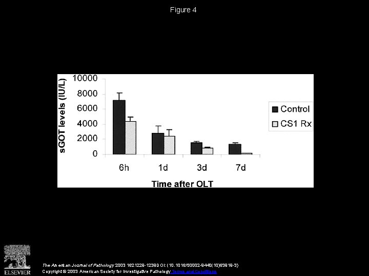 Figure 4 The American Journal of Pathology 2003 1621229 -1239 DOI: (10. 1016/S 0002