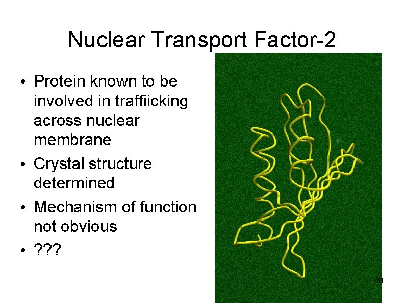 Nuclear Transport Factor-2 • Protein known to be involved in traffiicking across nuclear membrane