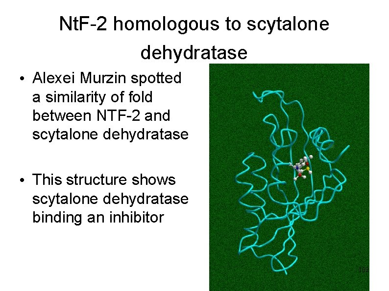 Nt. F-2 homologous to scytalone dehydratase • Alexei Murzin spotted a similarity of fold