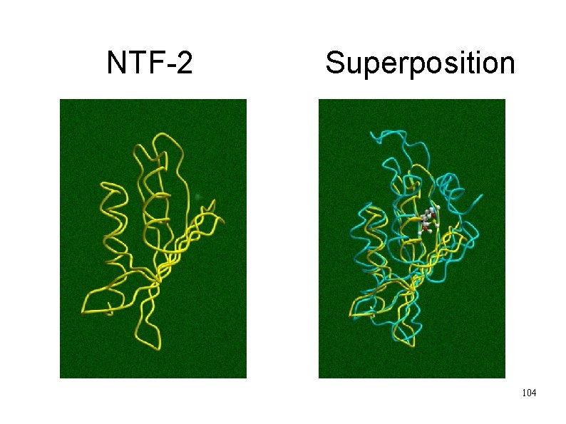NTF-2 Superposition 104 