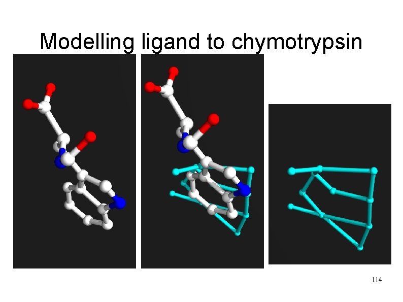 Modelling ligand to chymotrypsin Experimental ligand 114 