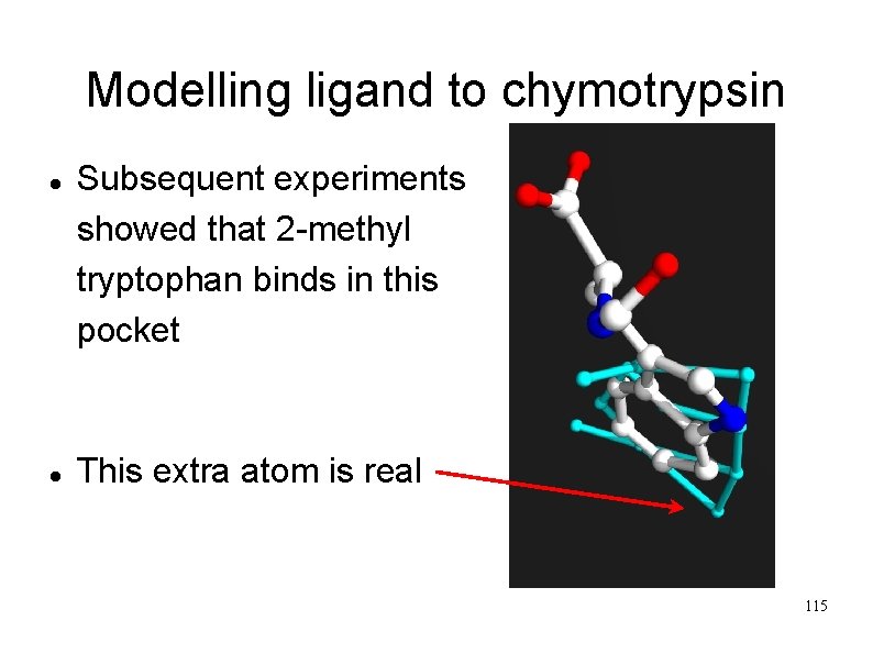 Modelling ligand to chymotrypsin Subsequent experiments showed that 2 -methyl tryptophan binds in this