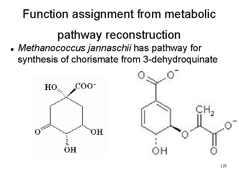 Function assignment from metabolic pathway reconstruction Methanococcus jannaschii has pathway for synthesis of chorismate