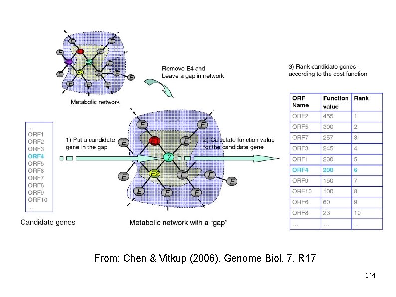 From: Chen & Vitkup (2006). Genome Biol. 7, R 17 144 