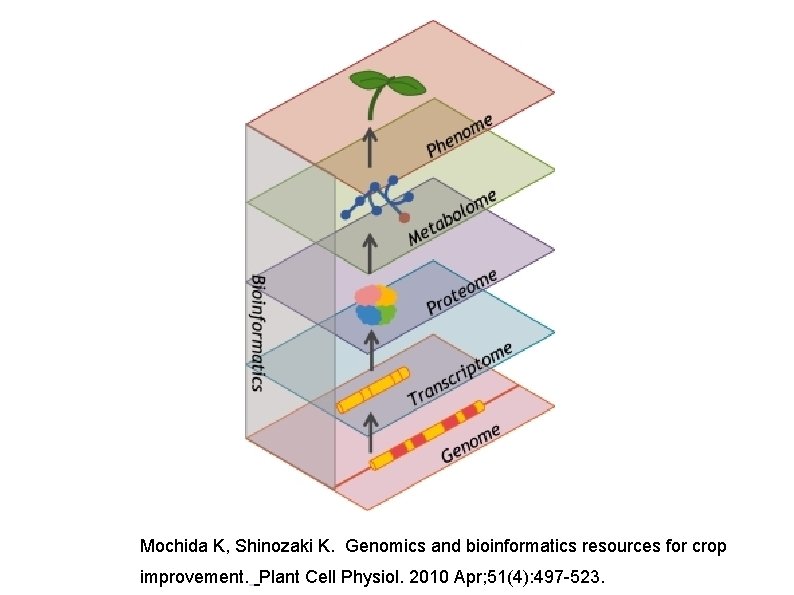 Mochida K, Shinozaki K. Genomics and bioinformatics resources for crop improvement. Plant Cell Physiol.