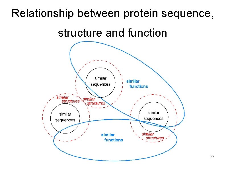 Relationship between protein sequence, structure and function 23 