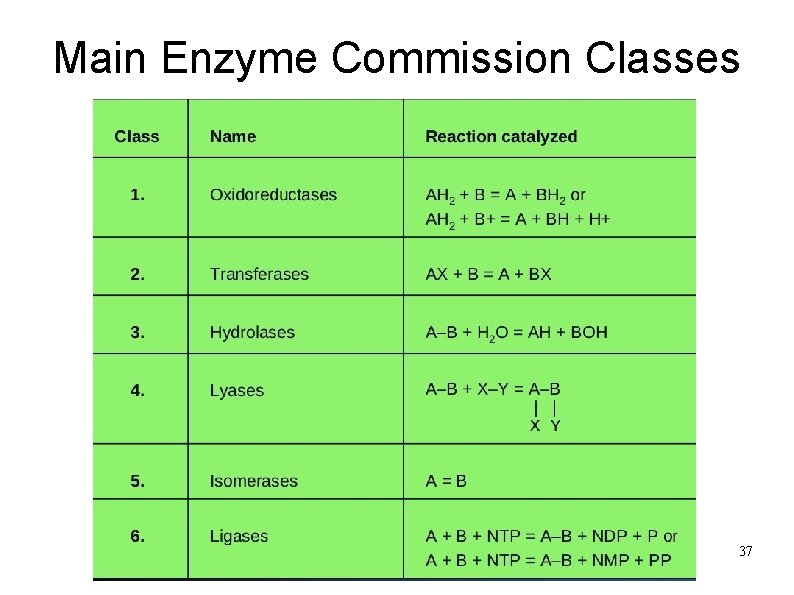 Main Enzyme Commission Classes 37 