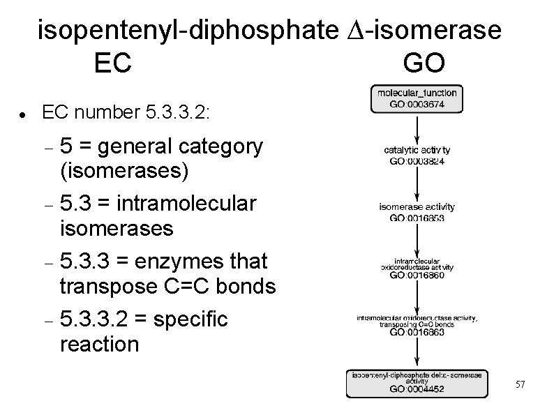 isopentenyl-diphosphate ∆-isomerase EC GO EC number 5. 3. 3. 2: 5 = general category