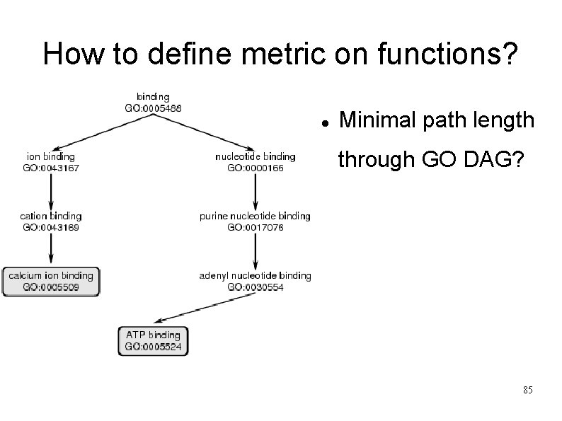 How to define metric on functions? Minimal path length through GO DAG? 85 