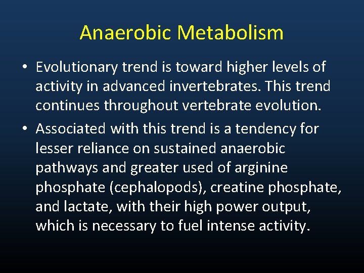 Anaerobic Metabolism • Evolutionary trend is toward higher levels of activity in advanced invertebrates.