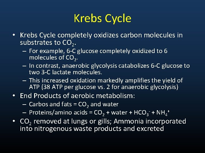 Krebs Cycle • Krebs Cycle completely oxidizes carbon molecules in substrates to CO 2.