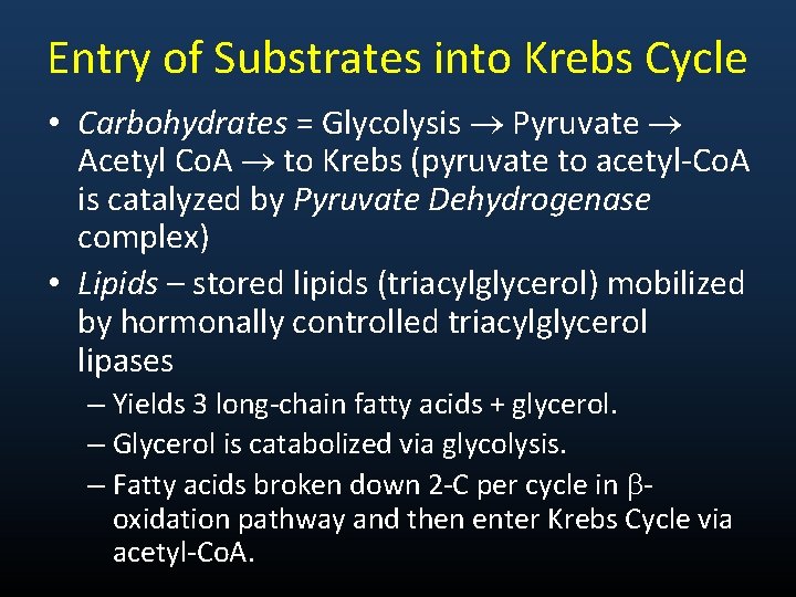 Entry of Substrates into Krebs Cycle • Carbohydrates = Glycolysis Pyruvate Acetyl Co. A