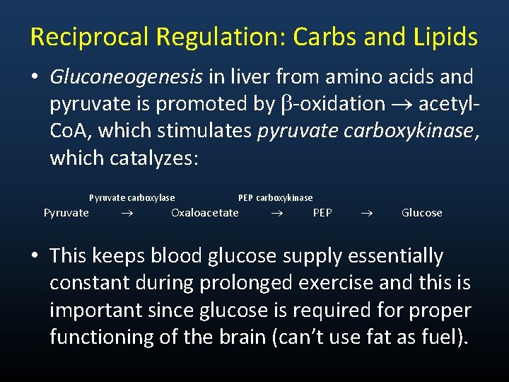 Reciprocal Regulation: Carbs and Lipids • Gluconeogenesis in liver from amino acids and pyruvate