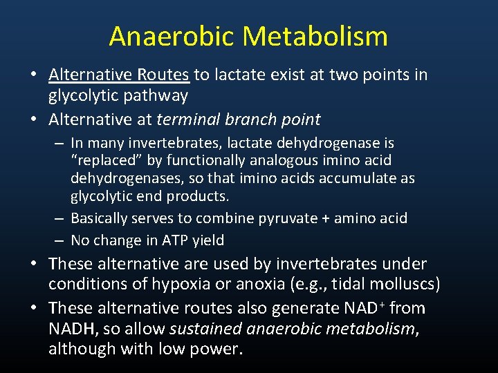 Anaerobic Metabolism • Alternative Routes to lactate exist at two points in glycolytic pathway