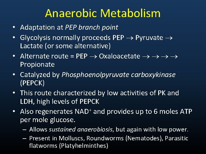 Anaerobic Metabolism • Adaptation at PEP branch point • Glycolysis normally proceeds PEP Pyruvate