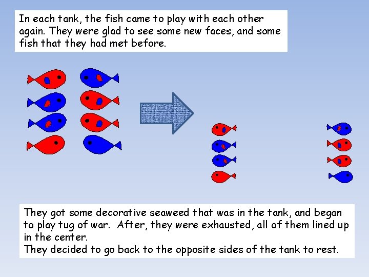 In each tank, the fish came to play with each other again. They were