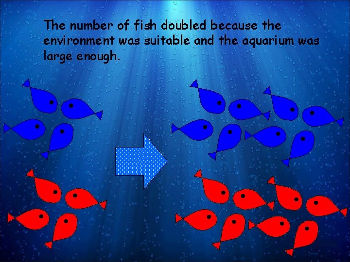 The number of fish doubled because the environment was suitable and the aquarium was