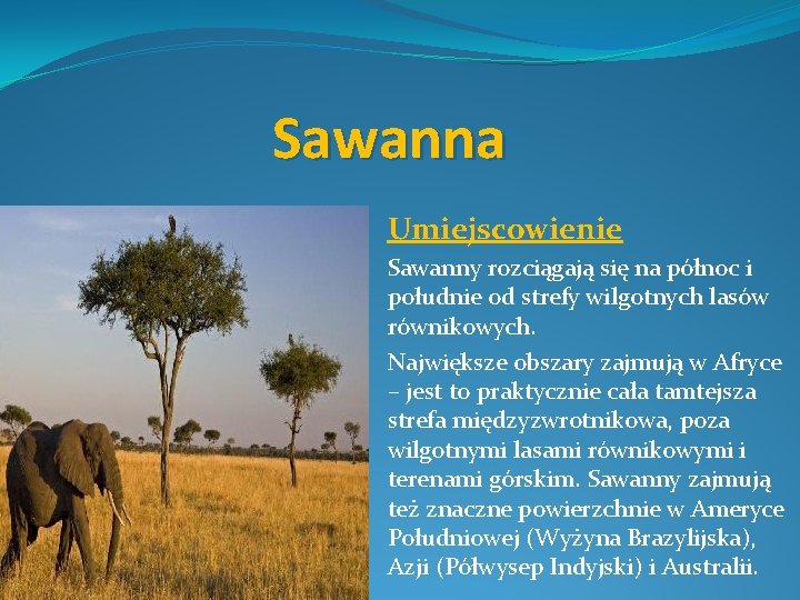 Sawanna Umiejscowienie Sawanny rozciągają się na północ i południe od strefy wilgotnych lasów równikowych.