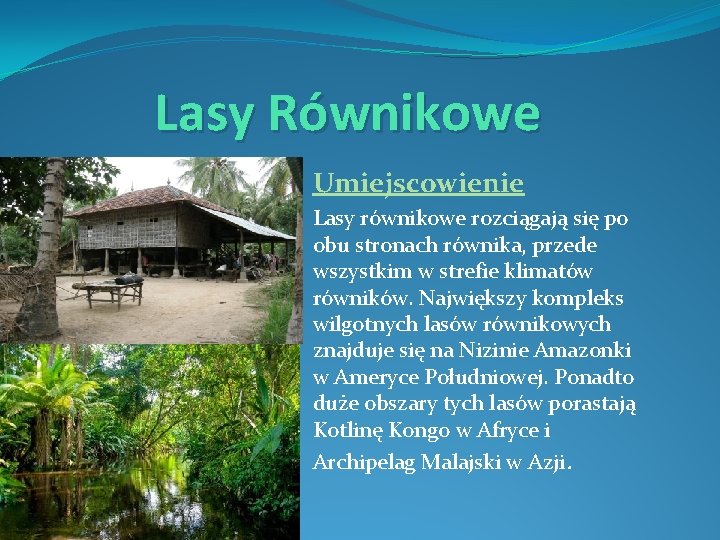 Lasy Równikowe Umiejscowienie Lasy równikowe rozciągają się po obu stronach równika, przede wszystkim w