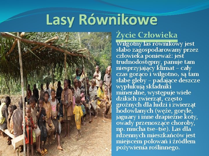 Lasy Równikowe Życie Człowieka Wilgotny las równikowy jest słabo zagospodarowany przez człowieka ponieważ: jest