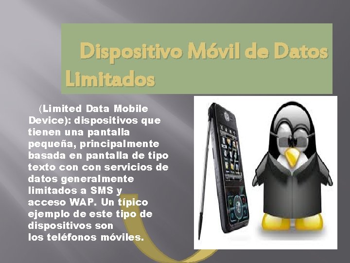 Dispositivo Móvil de Datos Limitados (Limited Data Mobile Device): dispositivos que tienen una pantalla