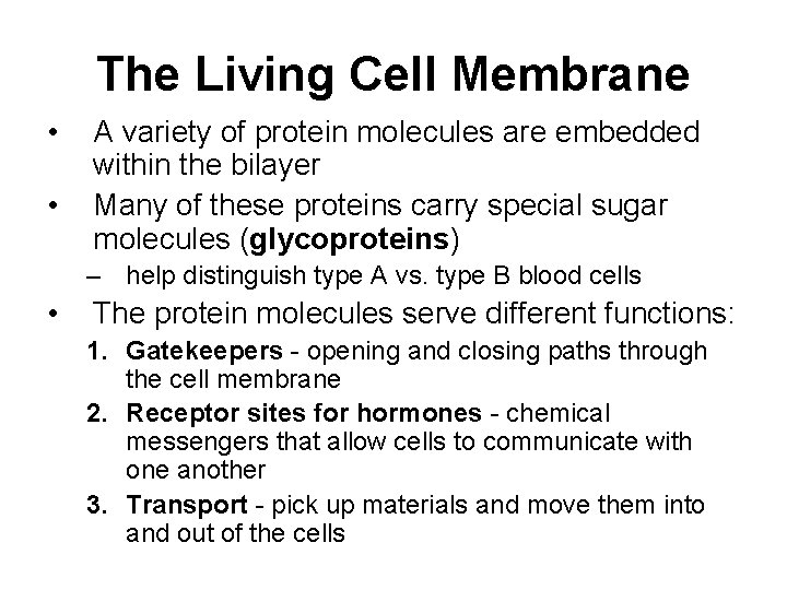 The Living Cell Membrane • • A variety of protein molecules are embedded within