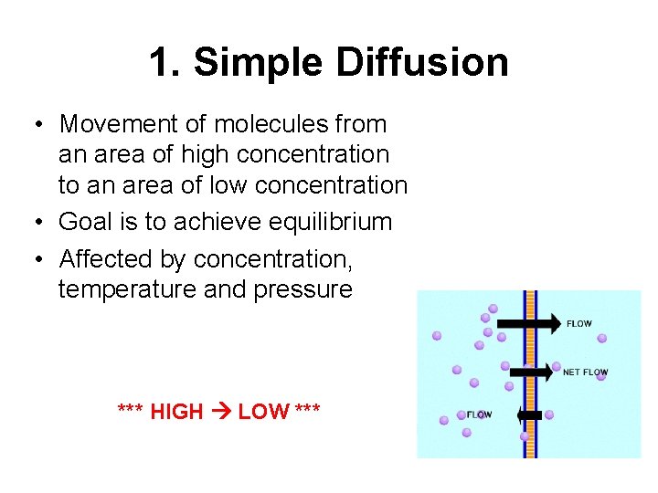 1. Simple Diffusion • Movement of molecules from an area of high concentration to