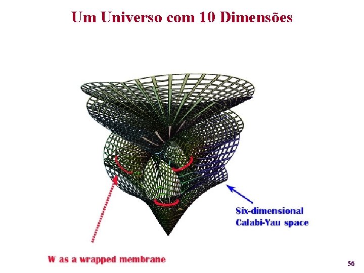 Um Universo com 10 Dimensões 56 
