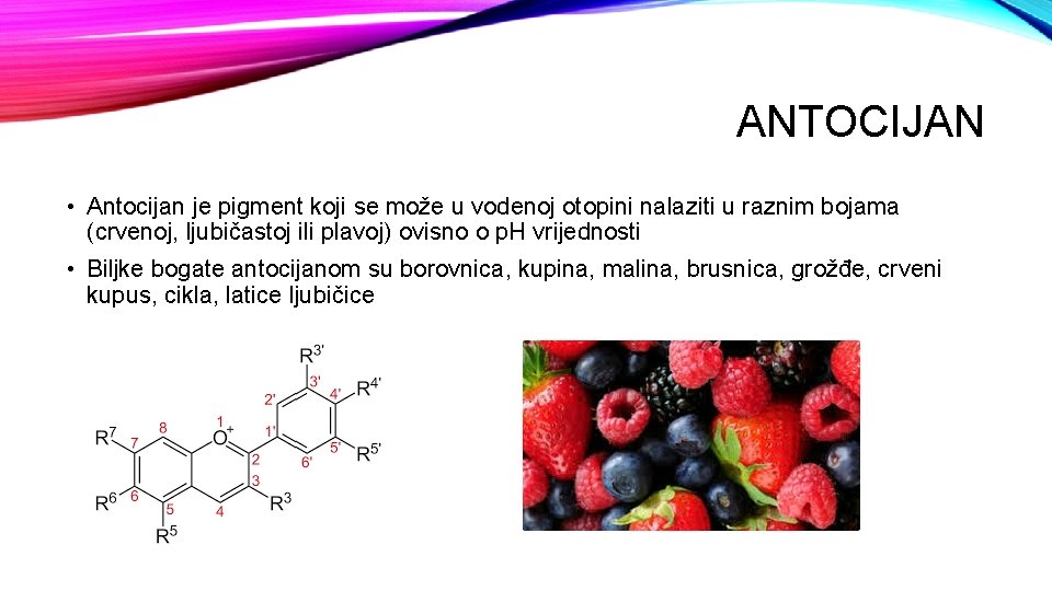 ANTOCIJAN • Antocijan je pigment koji se može u vodenoj otopini nalaziti u raznim
