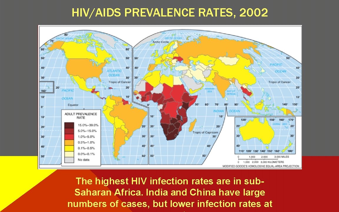 HIV/AIDS PREVALENCE RATES, 2002 The highest HIV infection rates are in sub. Saharan Africa.