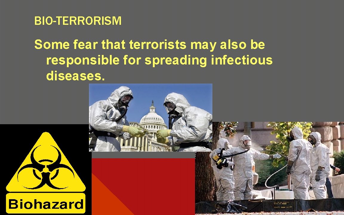 BIO-TERRORISM Some fear that terrorists may also be responsible for spreading infectious diseases. 
