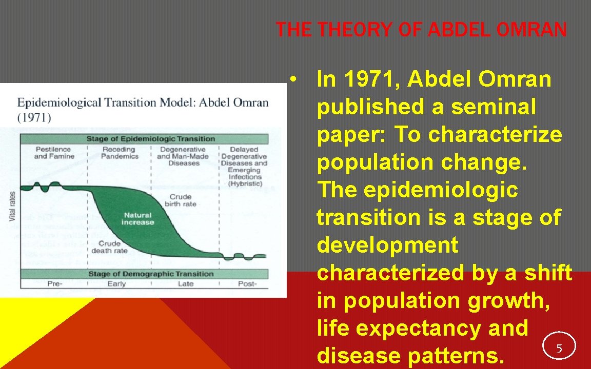 THE THEORY OF ABDEL OMRAN • In 1971, Abdel Omran published a seminal paper: