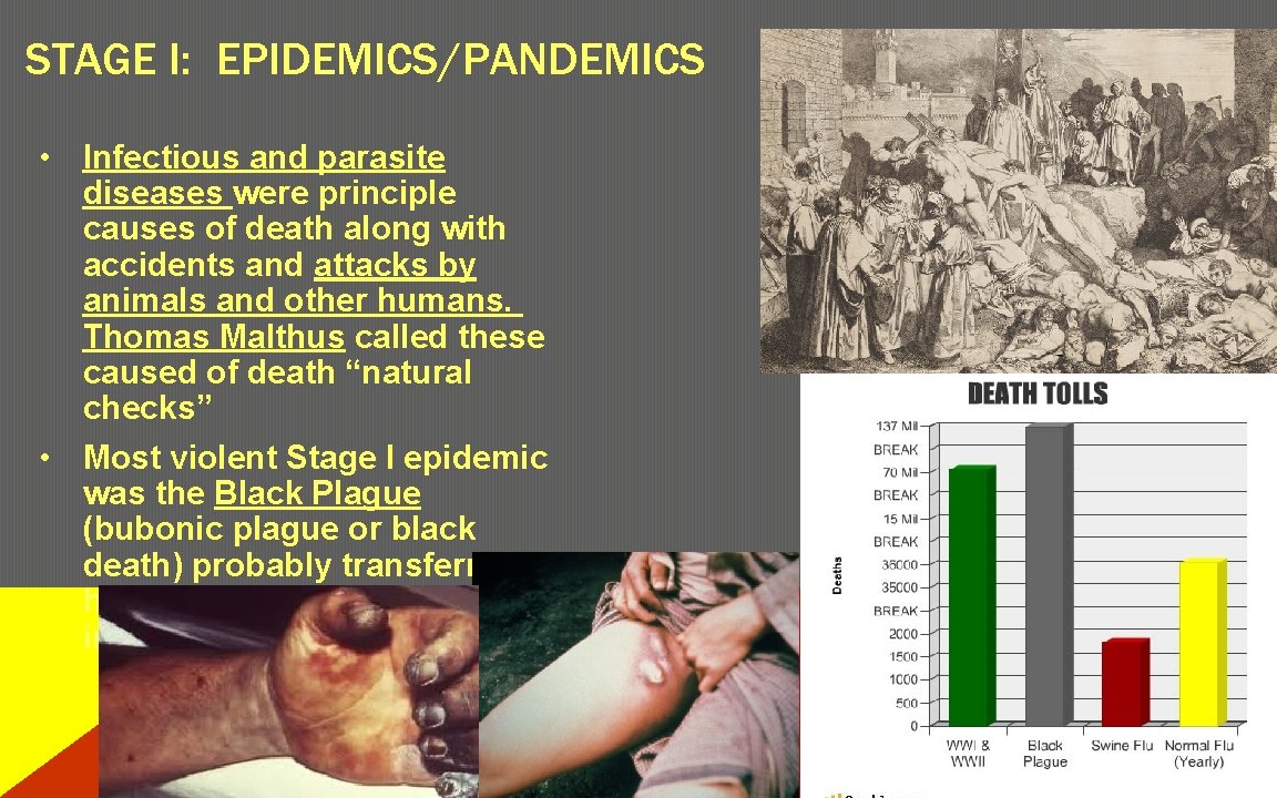 STAGE I: EPIDEMICS/PANDEMICS • Infectious and parasite diseases were principle causes of death along