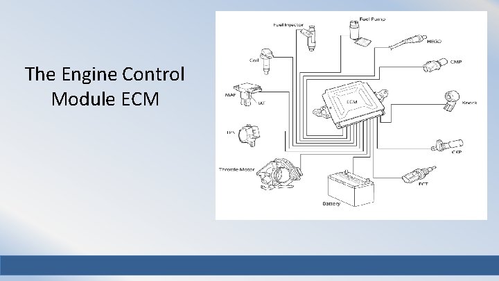 The Engine Control Module ECM 