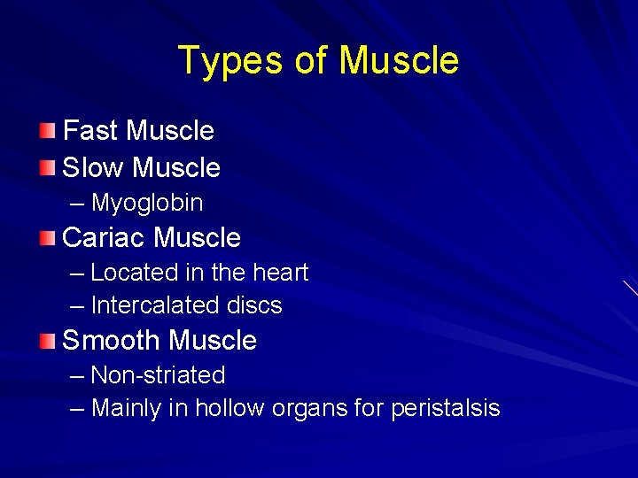 Types of Muscle Fast Muscle Slow Muscle – Myoglobin Cariac Muscle – Located in