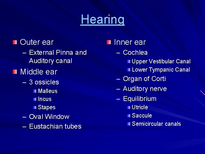 Hearing Outer ear – External Pinna and Auditory canal Middle ear – 3 ossicles