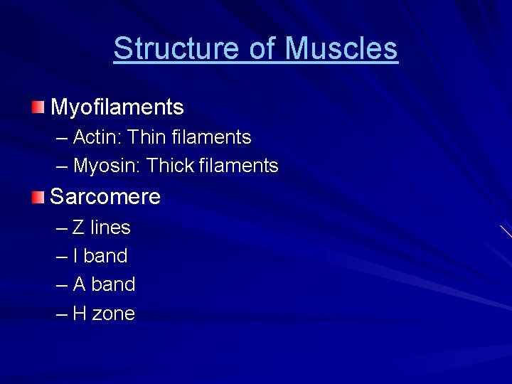 Structure of Muscles Myofilaments – Actin: Thin filaments – Myosin: Thick filaments Sarcomere –