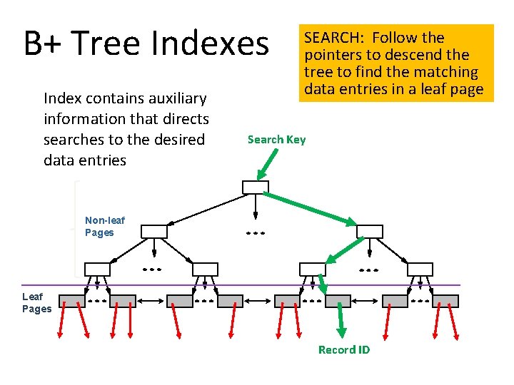 B+ Tree Indexes Index contains auxiliary information that directs searches to the desired data