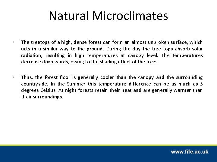 Natural Microclimates • The treetops of a high, dense forest can form an almost