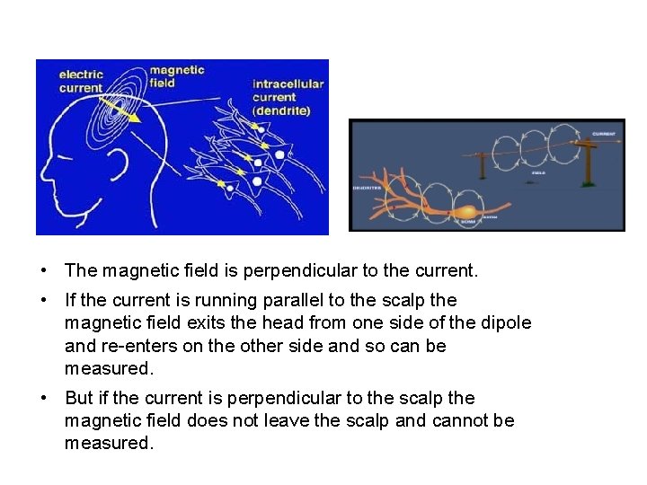  • The magnetic field is perpendicular to the current. • If the current