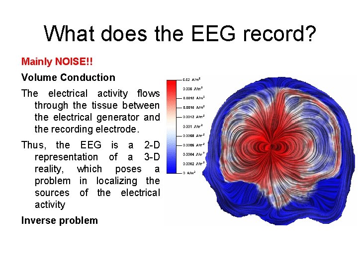 What does the EEG record? Mainly NOISE!! Volume Conduction The electrical activity flows through