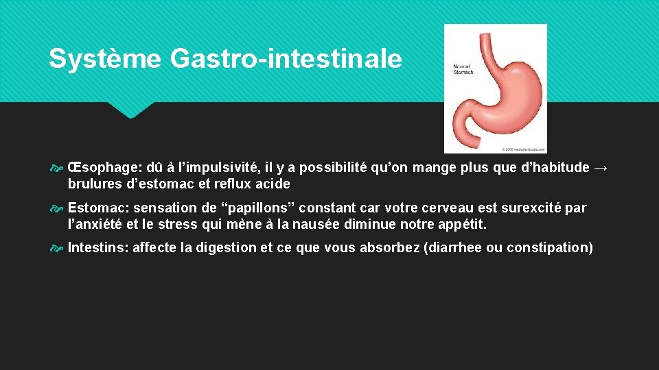 Système Gastro-intestinale Œsophage: dû à l’impulsivité, il y a possibilité qu’on mange plus que