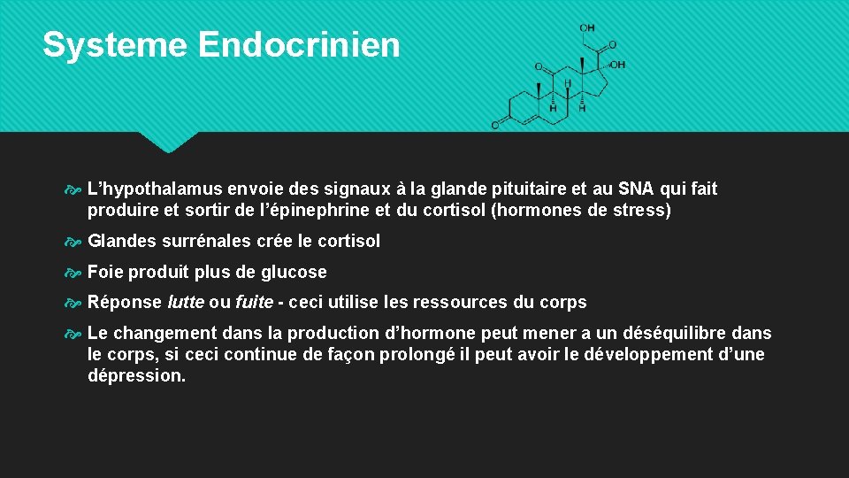 Systeme Endocrinien L’hypothalamus envoie des signaux à la glande pituitaire et au SNA qui