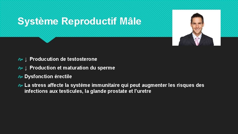 Système Reproductif Mâle ↓ Producution de testosterone ↓ Production et maturation du sperme Dysfonction