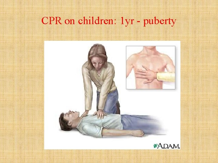CPR on children: 1 yr - puberty 