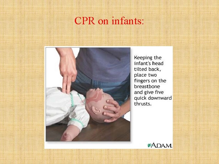CPR on infants: 