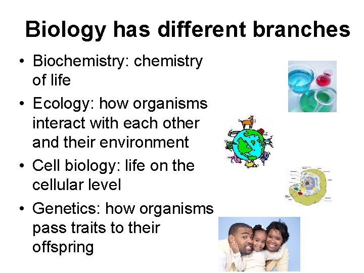 Biology has different branches • Biochemistry: chemistry of life • Ecology: how organisms interact